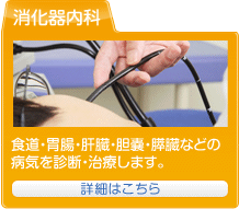 消化器内科：食道・胃腸・肝臓・胆嚢・膵臓などの病気を診断・治療します。